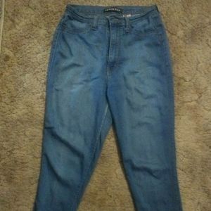 Fashion Nova High Waisted Skinny Jeans